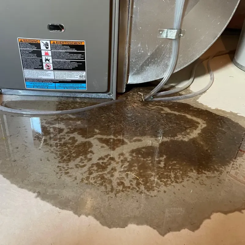 Appliance Leak Cleanup in Bourbon, IN