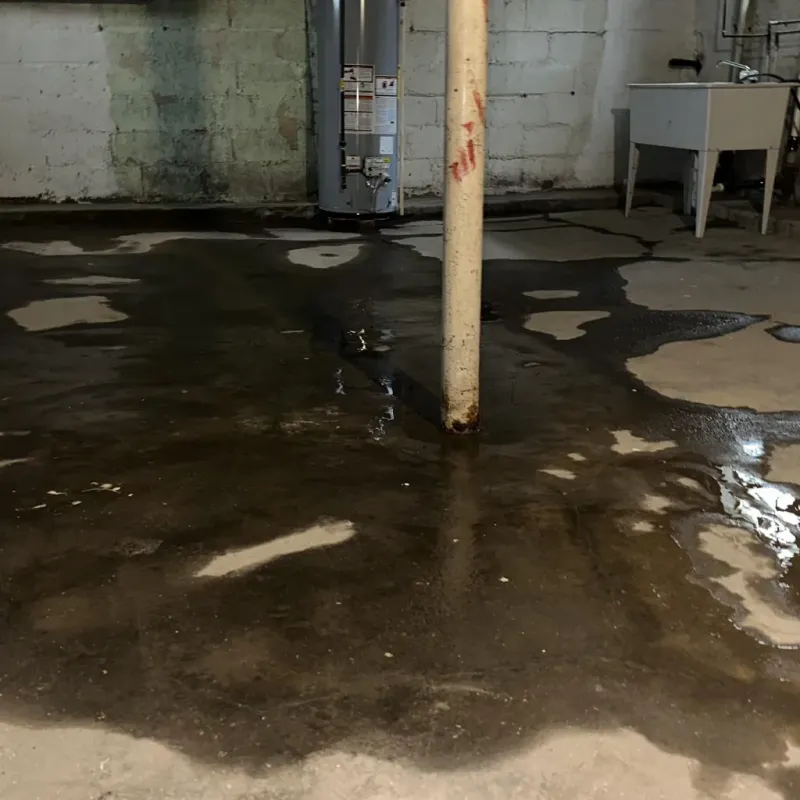 Emergency Water Extraction And Removal in Bourbon, IN